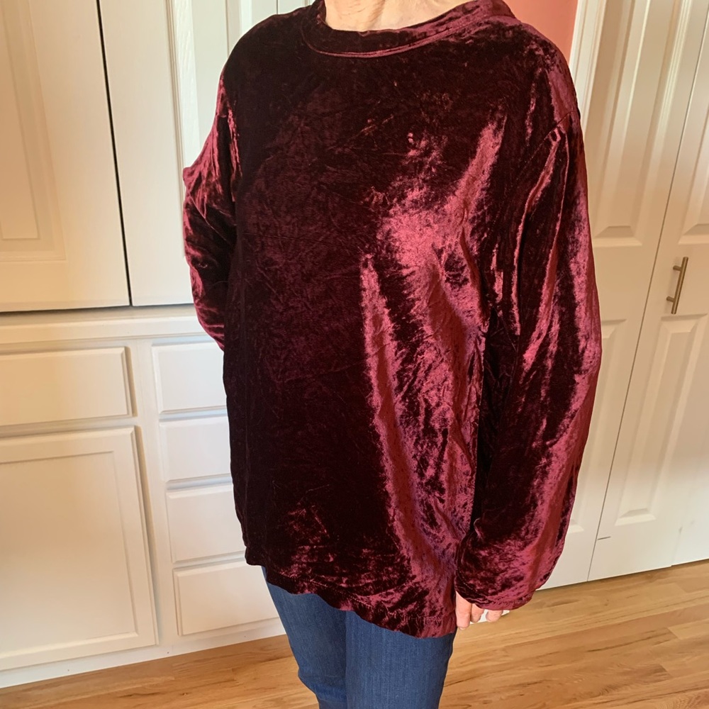 🌹SALE: CP Shades velvet top